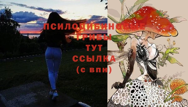 гашиш Богородицк