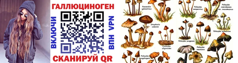 Галлюциногенные грибы GOLDEN TEACHER  Сызрань 